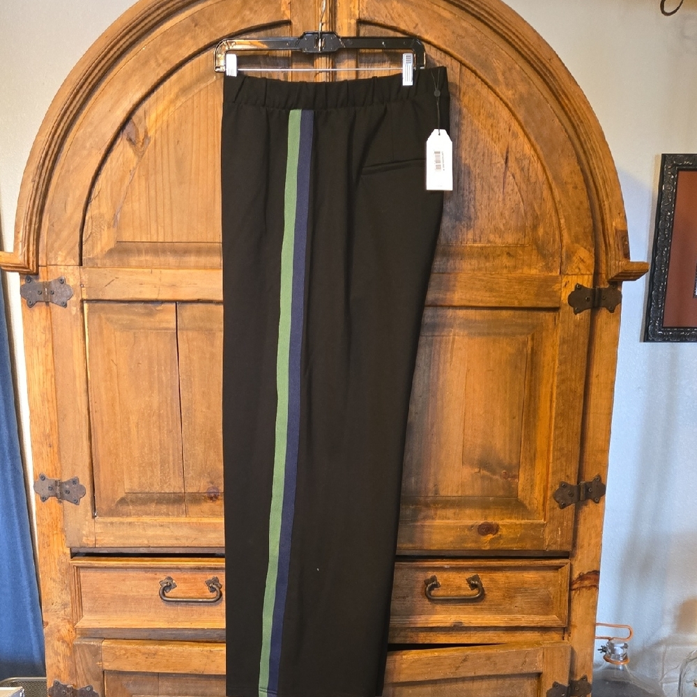 Universal Standard Black Wide Leg Pants with Green and Blue Stripe